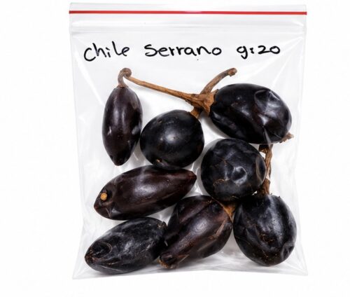 Chile serrano 20 g