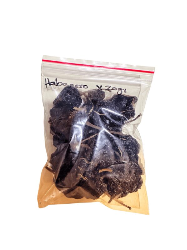 Chile habanero x20g